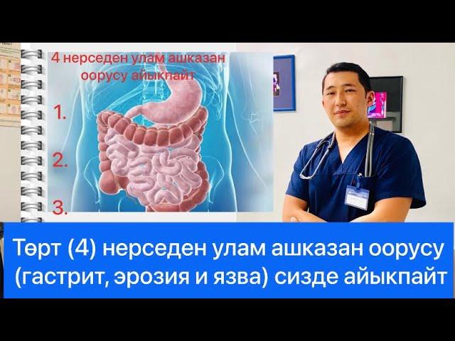 Гастрит, эрозия жана ашказан язвасы 4 нерседен улам айыкпайт!