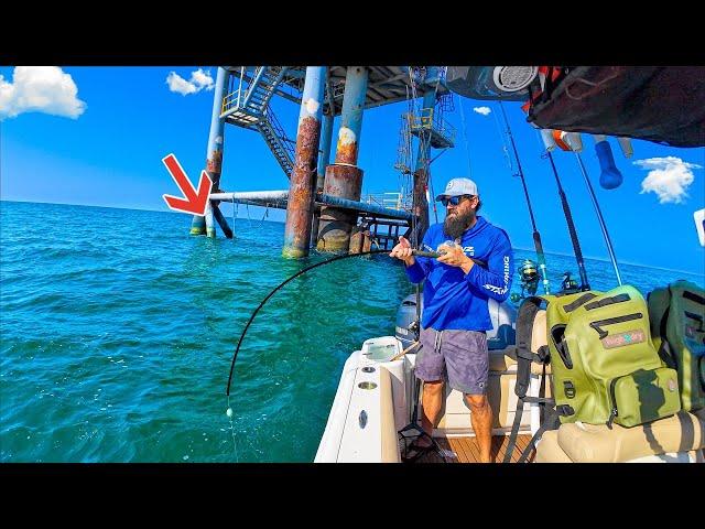 Fishing a Live Pinfish Under THIS Rig In the GULF For DINNER!