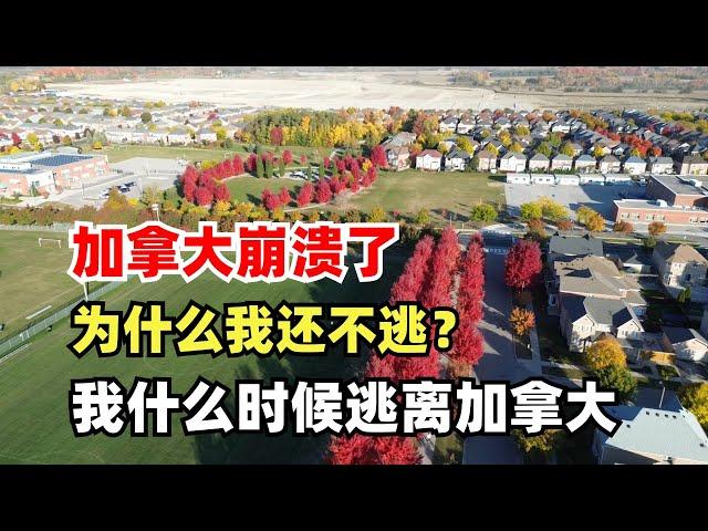 回复黑粉：加拿大崩溃了为什么我不回国？我什么时候逃离加拿大？为什么一直骂加拿大？