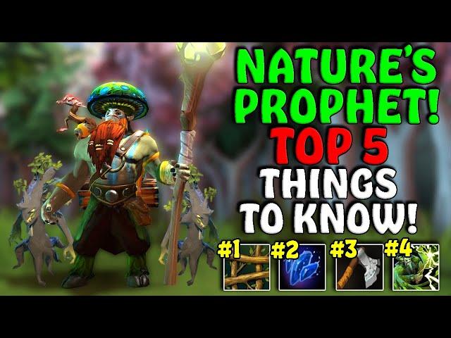 5 Things To Know About NATURE'S PROPHET! - 7.34