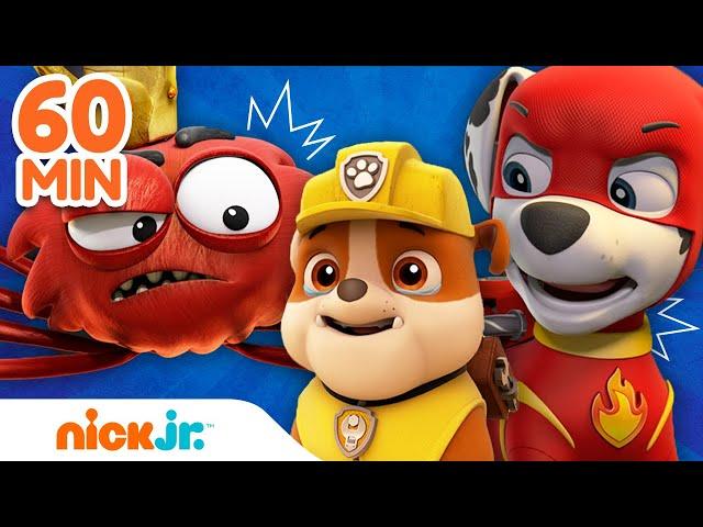 PAW Patrol | PAW Patrols REUSACHTIGSTE reddingen ooit!  | Nick Jr.