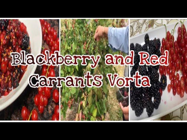 Blackberry and Red Carrants Vorta