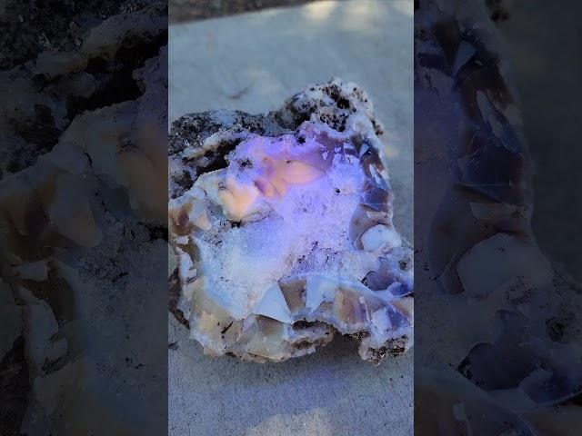 Hitting rocks with a long wave uv light, this one is amazing!