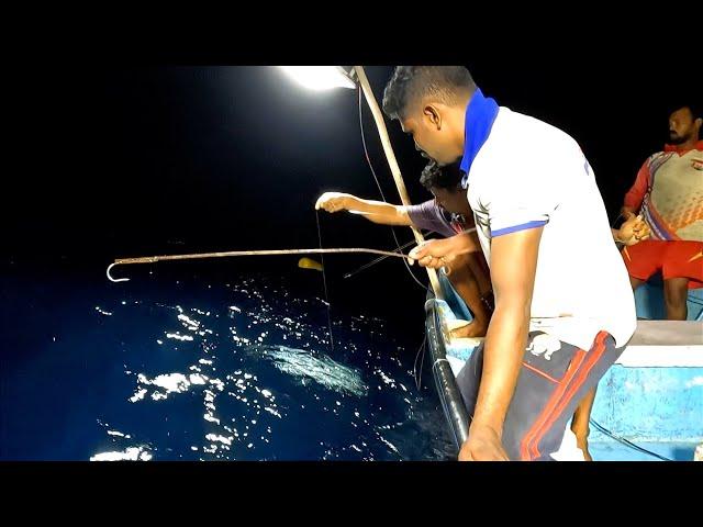 Catching King Fish, Blacktip Trevally & Queen Fish in the Deep Sea