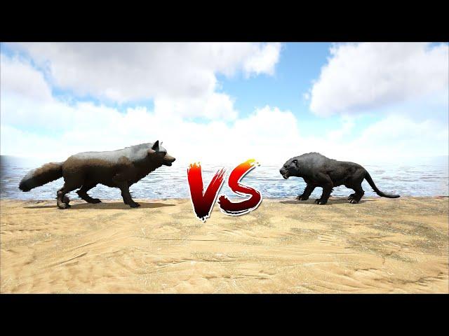 Sabertooth VS Direwolf | ARK Surival Evolved 2021 [UPDATED]