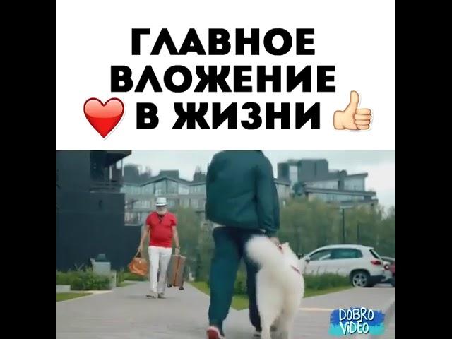 ГЛАВНОЕ ВЛОЖЕНИЕ В ЖИЗНИ