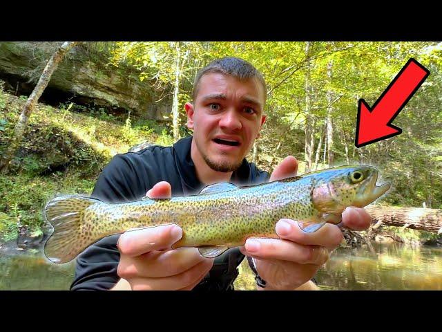 Catching Rainbow Trout to Stock My Pond! (Gone Wrong)