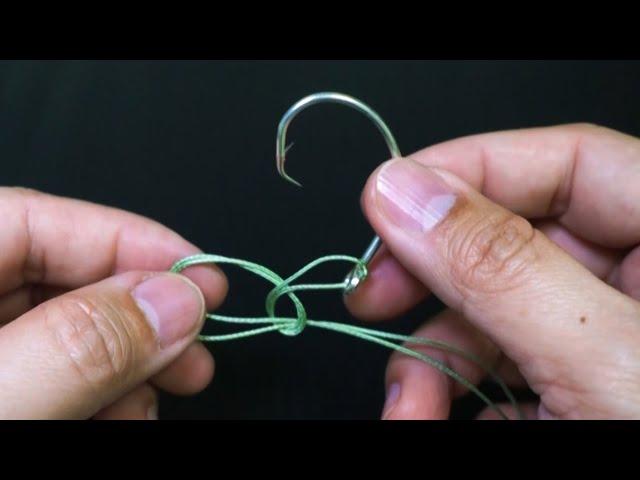 Anglers Should Learn This Knot | Fast and Powerful Fishing Knot