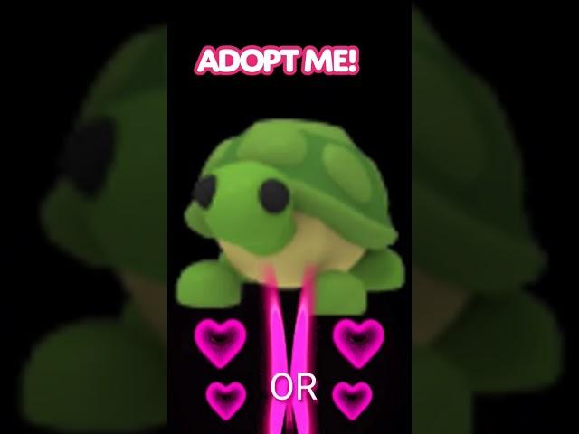 KANGAROO OR TURTLE Adopt Me! Pet Battle !  #adoptme #dreampets