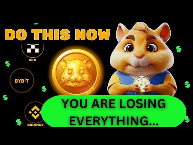 HAMSTER KOMBAT UPDATE: 10 Deadly Mistakes Killing Your Profit – Fix Now!