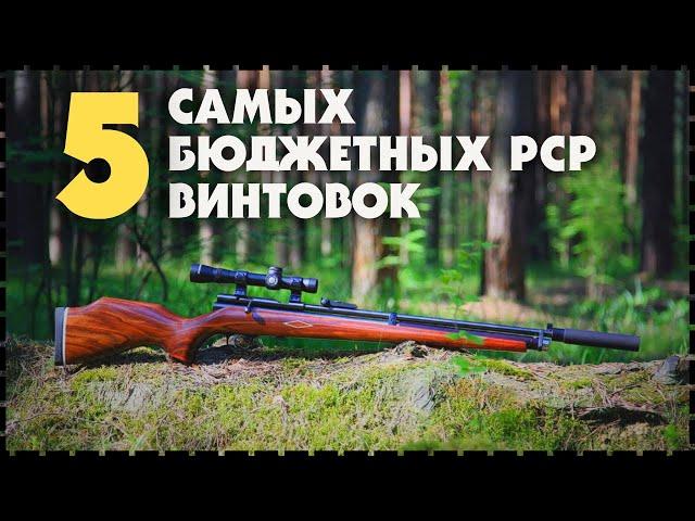 Топ 5 Самых Мощных И Бюджетных Пневматических PCP Винтовок