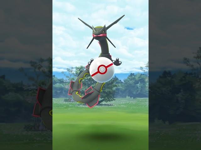 * SHUNDO * Rayquaza Last Ball Challenge Mega Rayquaza Raid | Pokemon GO