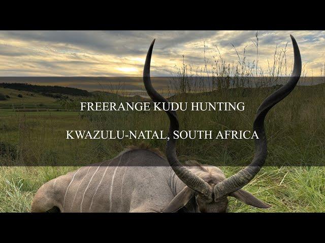 Kudu Hunting in Africa with Safari Quest Outfitters