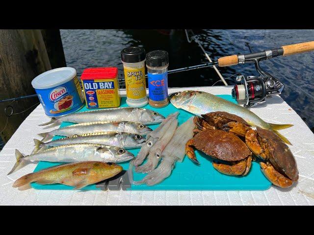 Eating Whatever We Catch in Maine - Squid, Crabs, Mackerel n' More!