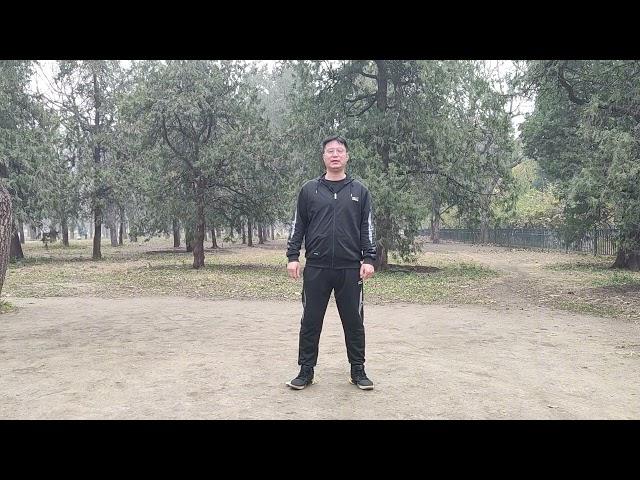 第一节  意拳（大成拳）摩擦步的意义 #武术  #意拳  #干货分享  #教学