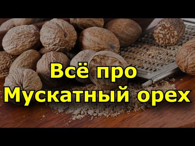 Всё про Мускатный орех.