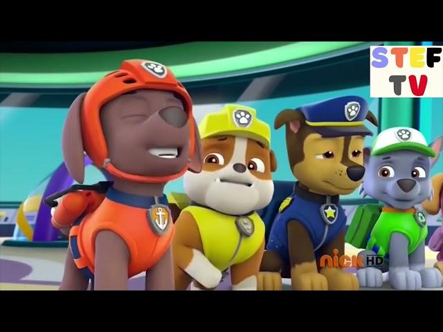 Paw Patrol sneeze compilation