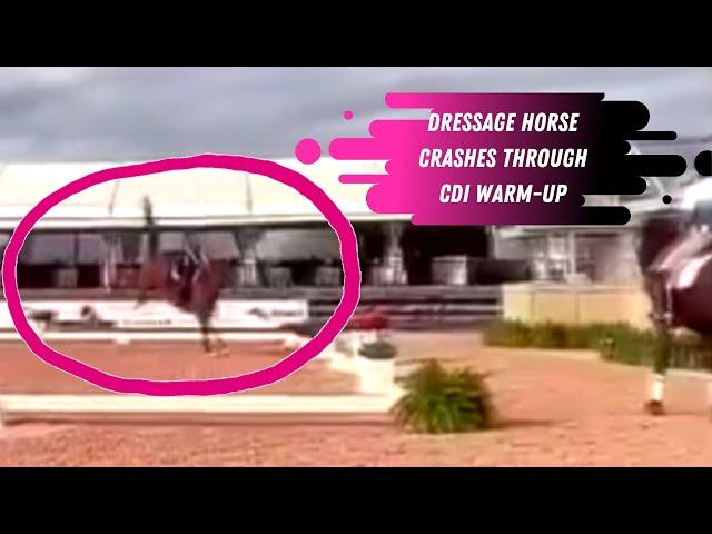 Dressage Disaster: Canadian Rider Causes Complete Chaos In The CDI Dressage Warm-Up In Wellington