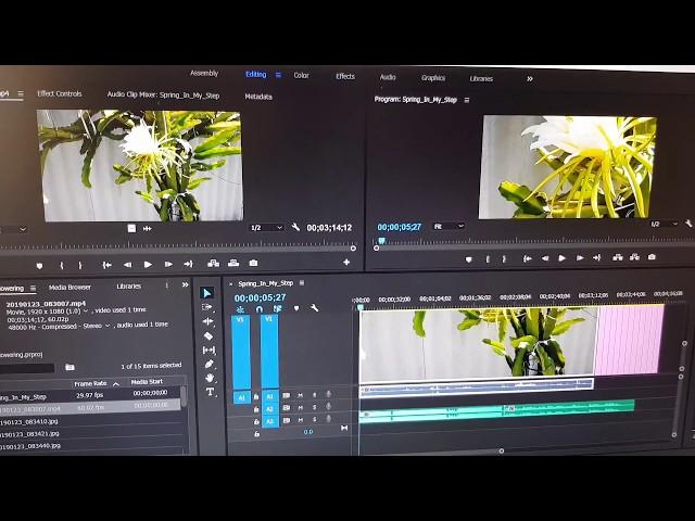 Adobe Premiere: Fix Preview Window Show Zoom In Video and Not Original Size