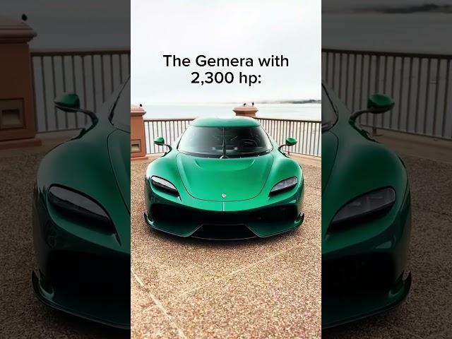 An Absolute Menace!