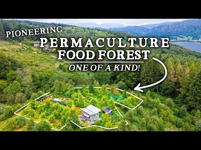 Incredible Permaculture Food Forest Project in Breathtaking Landscape