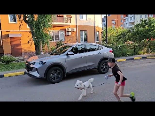 Haval F7x или Haval F7? Основные отличия. Что купить.