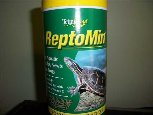 Bufothetoad1 Approved Aquatic Turtle  Food