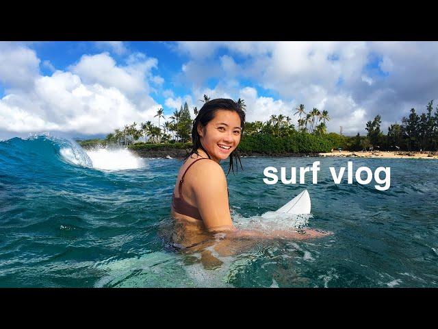 a week surfing on the north shore, hawaii 