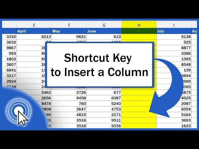 Shortcut Key to Insert a Column in Excel (Excel Shortcuts)