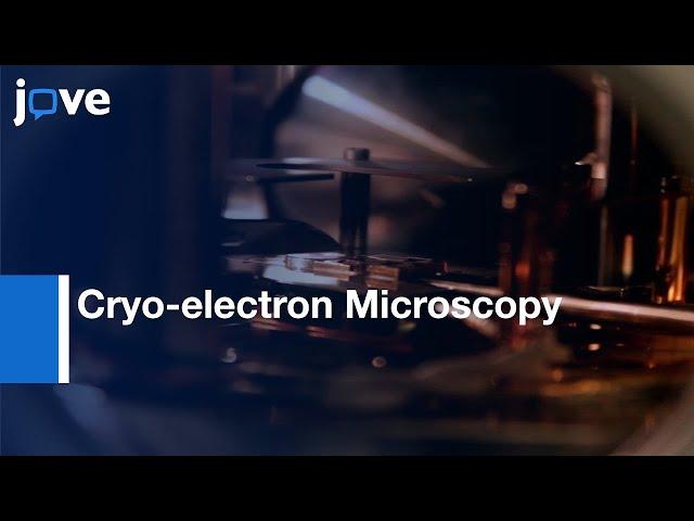 Cryo-electron Microscopy Specimen Preparation (Focused Ion Beam)