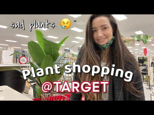 Let's go plant shopping at TARGET and haul! | Lots of sad plants | February 2022