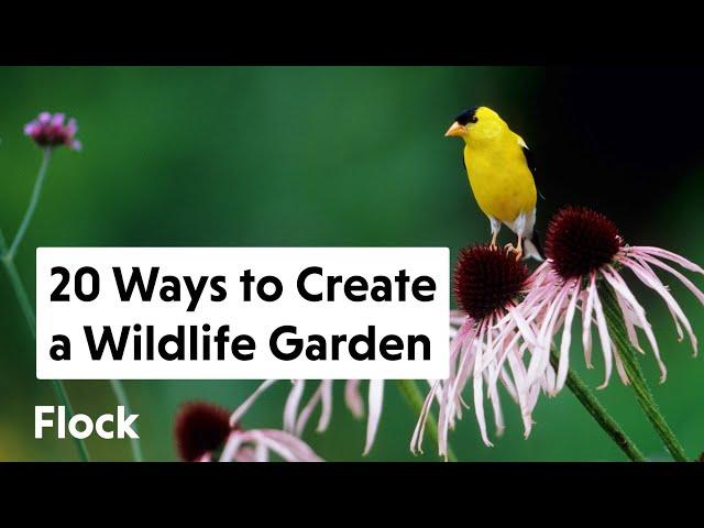 20 Ways To ATTRACT WILDLIFE to Your BACKYARD GARDEN — Ep. 112