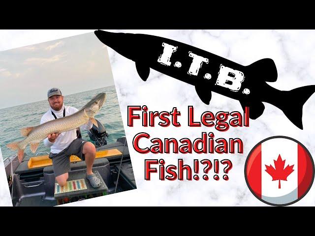 Was This the First Legal Canadian Musky by an American in 2 Years?