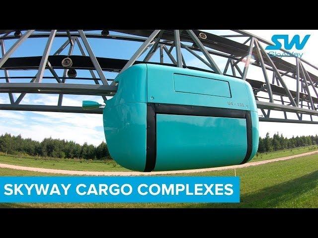 Skyway Cargo Solutions