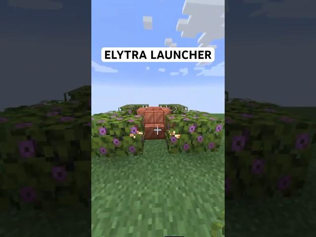 Insane Elytra Launcher in Minecraft! 