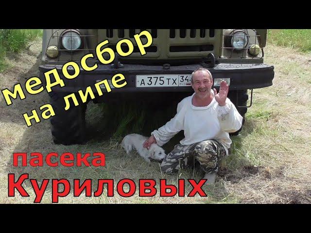 По всем пасекам леса / пасека Куриловых / Один день из жизни пчеловода.