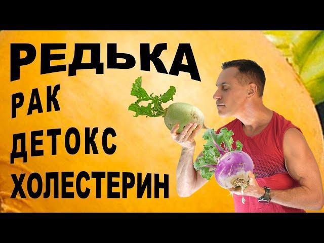 Редька и хрен спасают печень и гонят рак! 100% детокс
