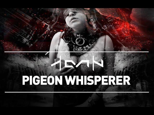 AEVIN - Pigeon Whisperer (Official Video)