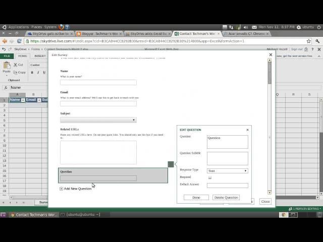 Using the Excel Survey Web App on SkyDrive