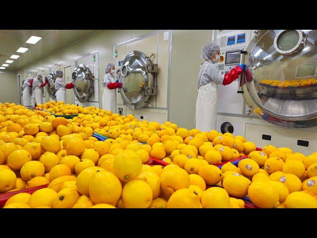 The hidden technology of mass production of lemon powder will be unveiled for the first time