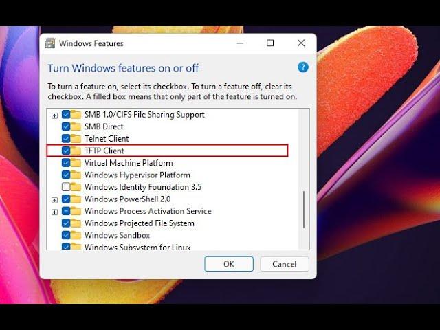 How to Setup and Configure TFTP Server on Windows 11