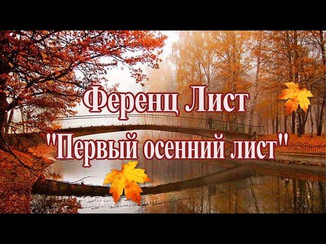 "Первый осенний лист" Ференц Лист Прекрасная музыка для Души!