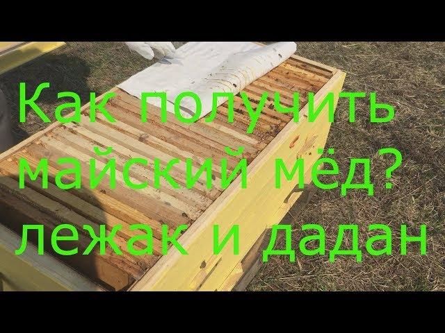 Как получить майский мёд в лежаке и Дадан на 12 рамок? Как спасти безматочную семью весной?