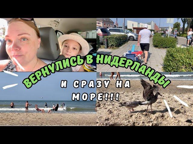 Вернулись домой и сразу на море!| ДОМБУРГ - голландский курорт | Нидерланды РУЛЯТ!!!| ВЛОГ