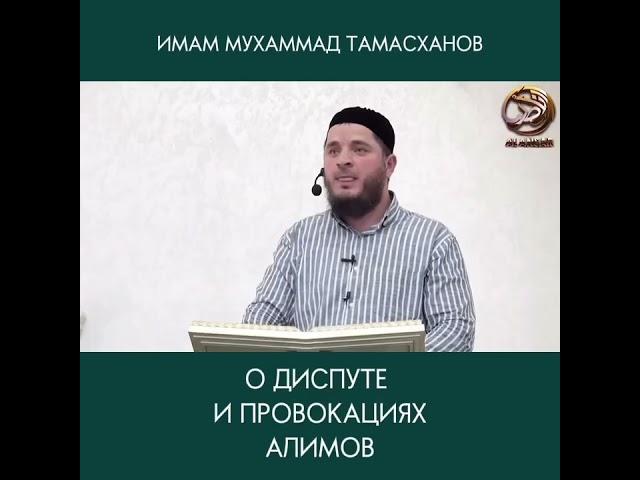 О диспуте и провокациях Алимов. Мухаммад Тамасханов