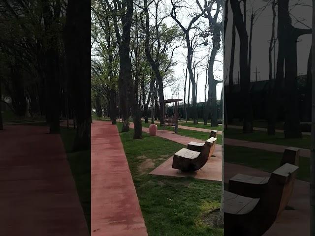 Краснодар 15.04.25 температура воздуха утром