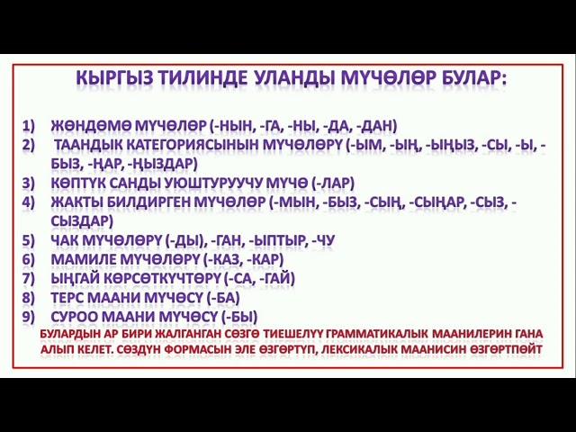 10-сабак. Морфология. Уңгу жана мүчө.