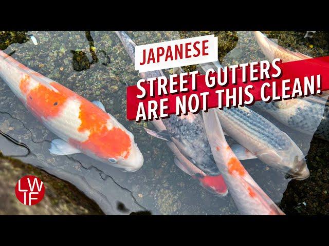 Japanese street gutters are NOT this clean