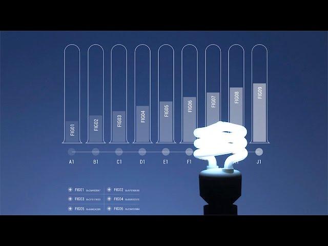 What Will Fuel the Future?