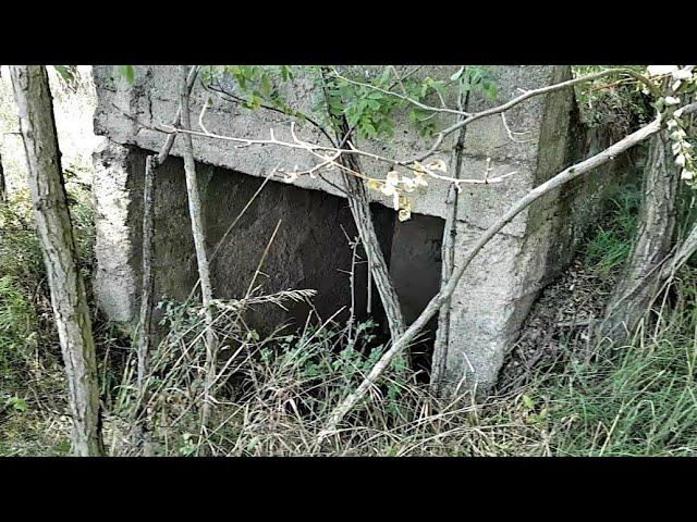 The Amber Room ‘discovered’ underground in WW2 bunker?